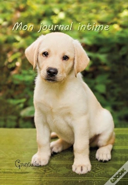Capa do artigo Journal Intime Chiot