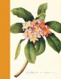 Journal : Plumeria - Preview