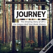 Capa do artigo Journey