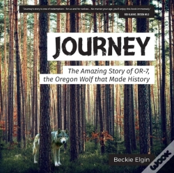 Capa do artigo Journey