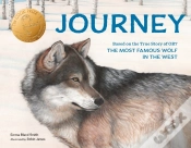Capa do artigo Journey