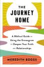 Journey Home - Preview