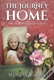 Capa do artigo Journey Home