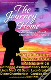 Capa do artigo Journey Home