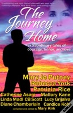 Capa do artigo Journey Home
