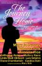 Journey Home - Preview