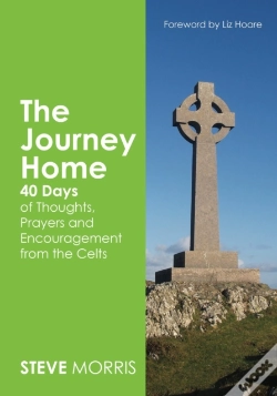Capa do artigo Journey Home