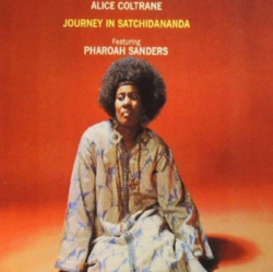 Capa do artigo Journey in Satchidananda - CD