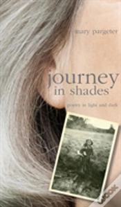 Capa do artigo Journey In Shades