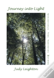 Capa do artigo Journey Into Light