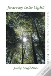 Capa do artigo Journey Into Light