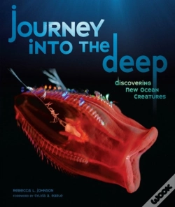 Capa do artigo Journey Into The Deep