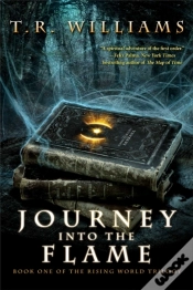 Capa do artigo Journey Into The Flame