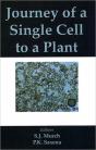 Journey Of A Single Cell To A Plant - Preview