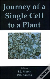 Journey Of A Single Cell To A Plant
