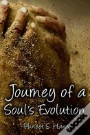 Journey Of A Soul'S Evolution