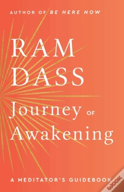 Capa do artigo Journey Of Awakening