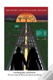 Capa do artigo Journey On Parallel Roads