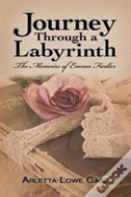 Journey Through A Labyrinth