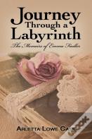 Journey Through A Labyrinth