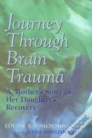 Journey Through Brain Trauma