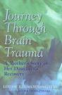 Journey Through Brain Trauma - Preview