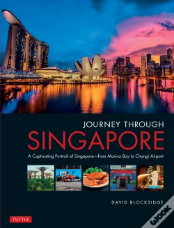 Capa do artigo Journey Through Singapore