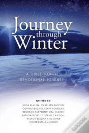 Capa do artigo Journey Through Winter