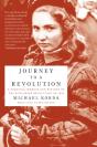 Journey To A Revolution - Preview
