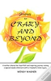 Capa do artigo Journey To Crazy And Beyond