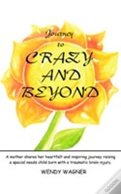Capa do artigo Journey To Crazy And Beyond