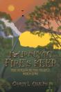 Journey To Fire'S Keep: The Return To Th - Preview