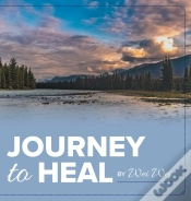 Capa do artigo Journey To Heal
