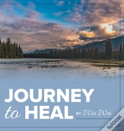 Capa do artigo Journey To Heal