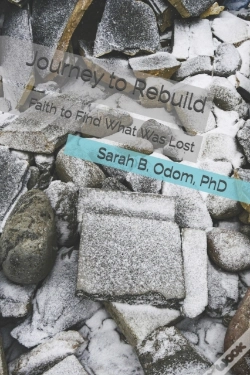 Capa do artigo Journey To Rebuild