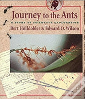 Capa do artigo Journey To The Ants