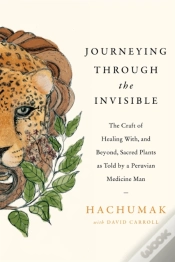 Capa do artigo Journeying Through The Invisible