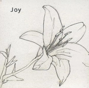 Capa do artigo Joy - CD