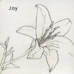 Capa do artigo Joy - CD