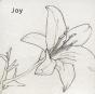 Joy - CD - Preview