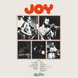 Capa do artigo Joy - CD