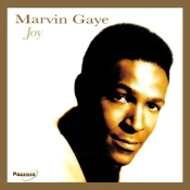 Capa do artigo Joy - CD