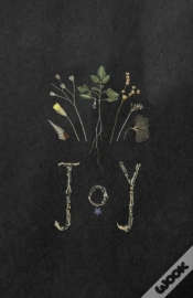 Capa do artigo Joy