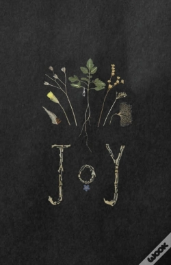 Capa do artigo Joy
