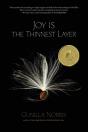 Joy Is The Thinnest Layer - Preview
