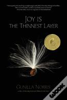 Joy Is The Thinnest Layer