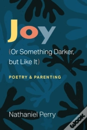 Capa do artigo Joy (Or Something Darker, But Like It)