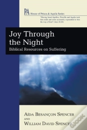 Capa do artigo Joy Through The Night