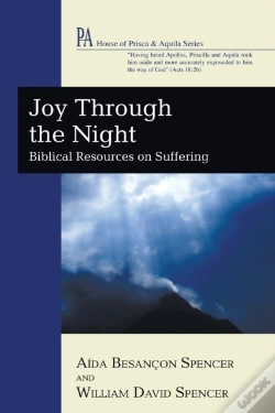 Capa do artigo Joy Through The Night