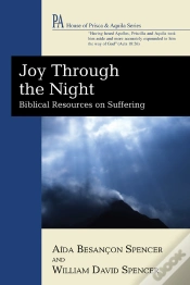 Capa do artigo Joy Through The Night